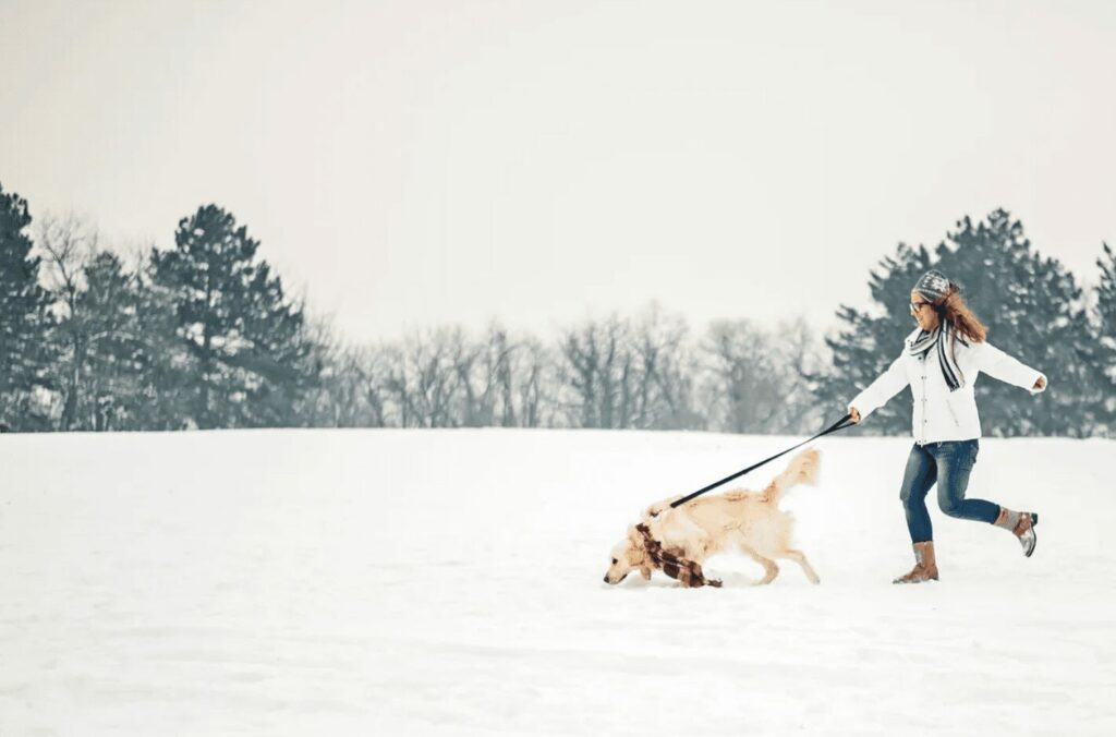 Running in the snow with your dog