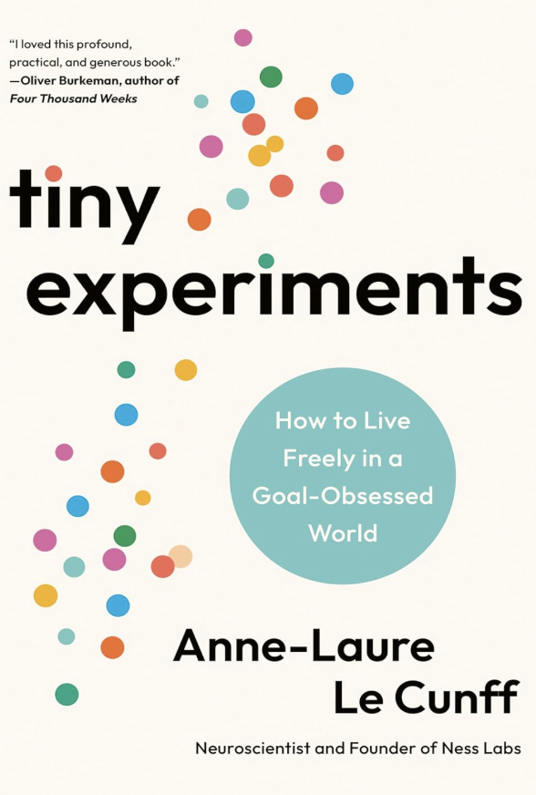 Tiny Experiements book cover (US)